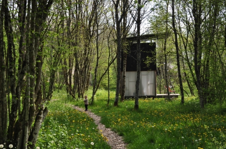 Image hebergement insolite LE BOIS BASALTE