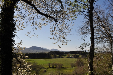 Image hebergement insolite LE BOIS BASALTE