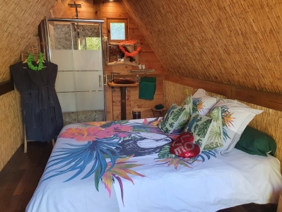 Image hebergement insolite CABANE TAHITIENNE