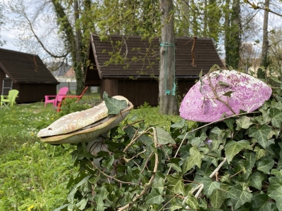 Image hebergement insolite TROLL GITE