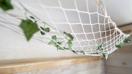 Image hebergement insolite REVE DE ROBINSON