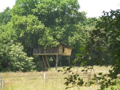 Image hebergement insolite CABANE STERENN