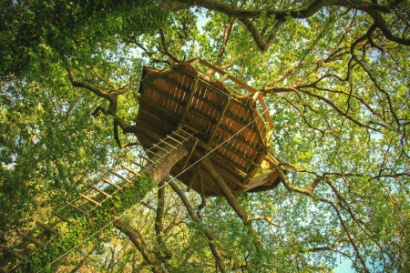 Image hebergement insolite CABANE NIJAL