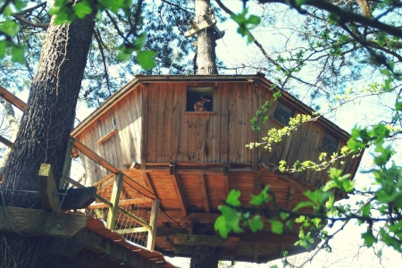 Image hebergement insolite CABANE BAMAN