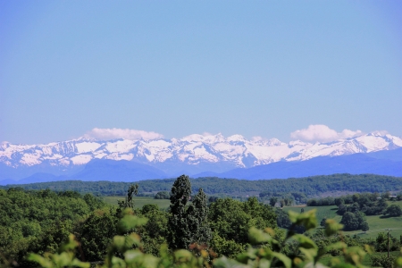 Image hebergement insolite LUXURY LODGE SUR PILOTIS