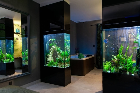 Image hebergement insolite L'AQUA'ROOM
