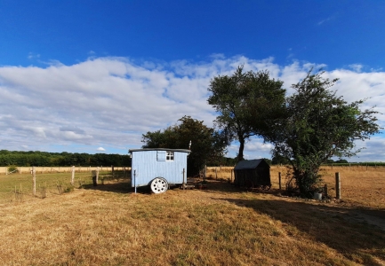 Image hebergement insolite MANOIR DU BOIS JOLY - CABANES DE BERGER