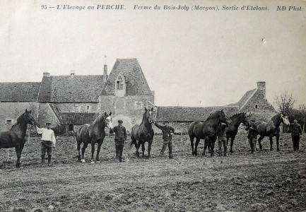 Image hebergement insolite MANOIR DU BOIS JOLY - GÎTE DU FOURNIL