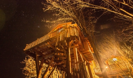 Image hebergement insolite CHÂTEAU DANS LES ARBRES