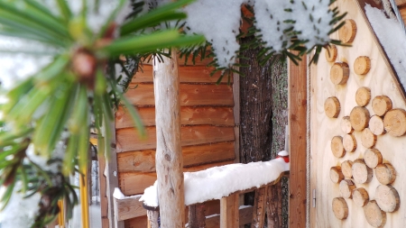 Image hebergement insolite CABANE COSY LE REPÈRE