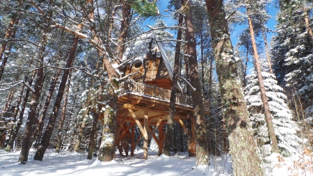 Image hebergement insolite CABANE DE LUXE LA BIEN HÊTRE