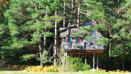 Image hebergement insolite CABANE COSY LA TOUR
