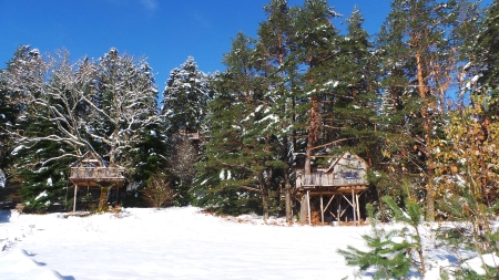 Image hebergement insolite CABANE COSY LA TOUR