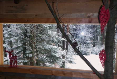 Image hebergement insolite CABANE COSY LA DOUBLE