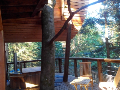 Image hebergement insolite CABANE DE LUXE FORÊT