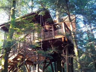 Image hebergement insolite CABANE DE LUXE FORÊT