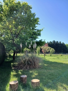 Image hebergement insolite LE TILLEUL