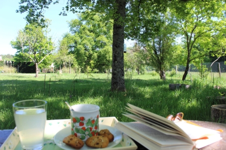 Image hebergement insolite LE TILLEUL