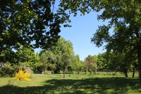 Image hebergement insolite LE TILLEUL