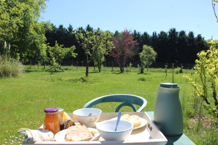 Image hebergement insolite LE CHENE