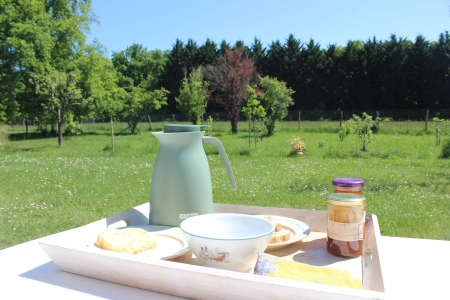 Image hebergement insolite LE CHENE