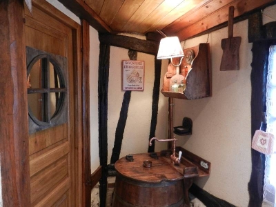 Image hebergement insolite LE GÎTE DES 3 VACHES : CHEMINEE, PISCINE ET JACUZZI