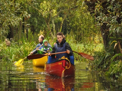 Image hebergement insolite LE GÎTE DES 3 VACHES : CHEMINEE, PISCINE ET JACUZZI