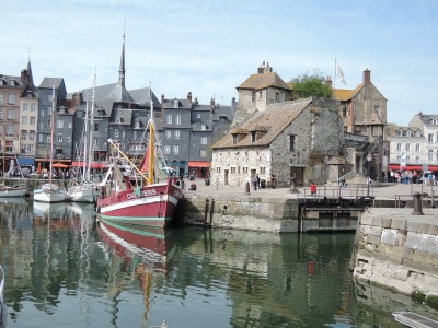 Image hebergement insolite LE GÎTE DES 3 VACHES : CHEMINEE, PISCINE ET JACUZZI