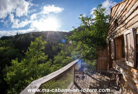 Image hebergement insolite ÉCUREUIL