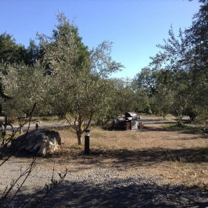 Image hebergement insolite CABANE DE SAM AVEC SPA PRIVATIF