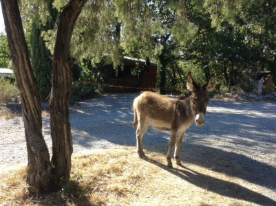 Image hebergement insolite ROULOTTE DE SAINT CERICE