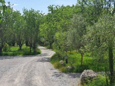 Image hebergement insolite ROULOTTE GITE DOMAINE SAINT CERICE SUD ARDÈCHE