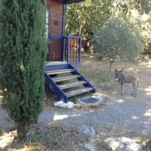 Image hebergement insolite TIPI LODGE AVEC SPA PRIVATIF EN ACCÈS ILLIMITÉ